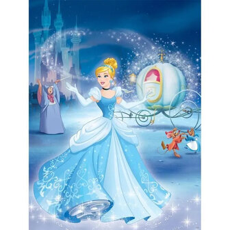 Coffret myst&egrave;re - Cendrillon