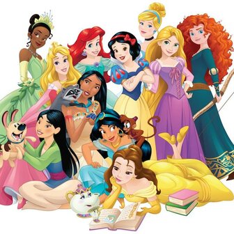 Coffret myst&egrave;re - Princesses Disney